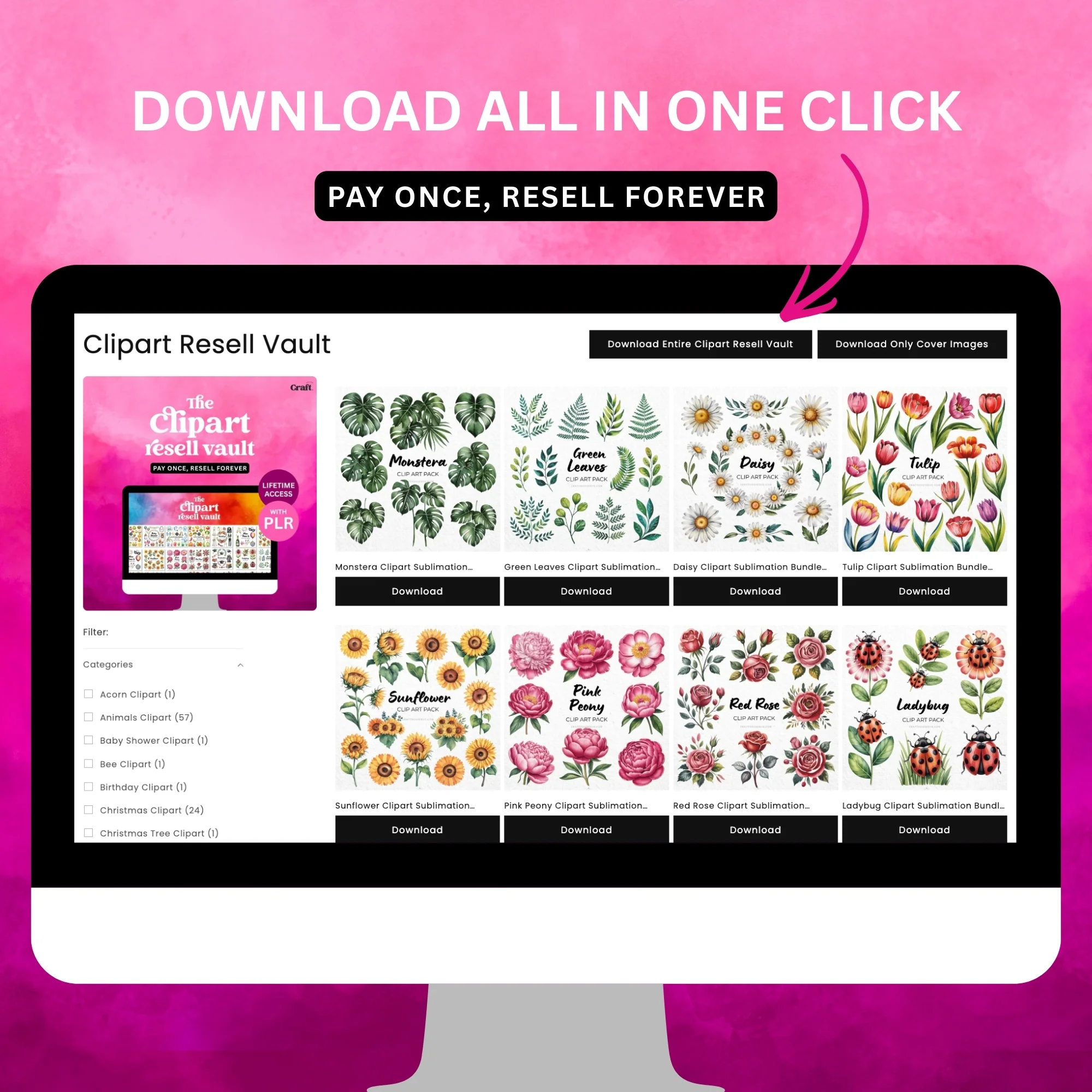 Lifetime Access with PLR Resell Rights - Image 11